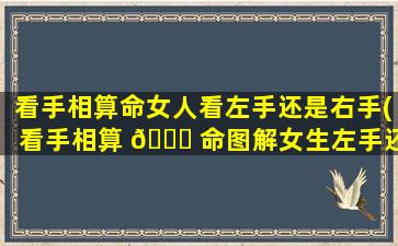 看手相算命女人看左手还是右手(看手相算 🐒 命图解女生左手还是右手)